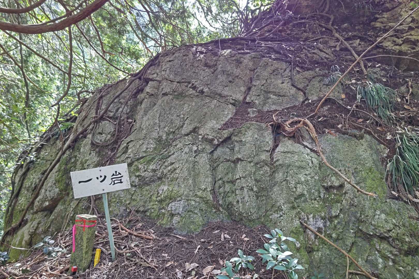 とりあえずパチリ📷️