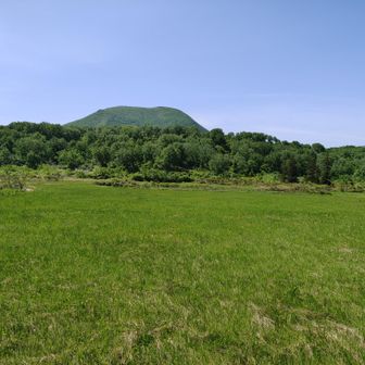 湿原から見るチセヌプリ