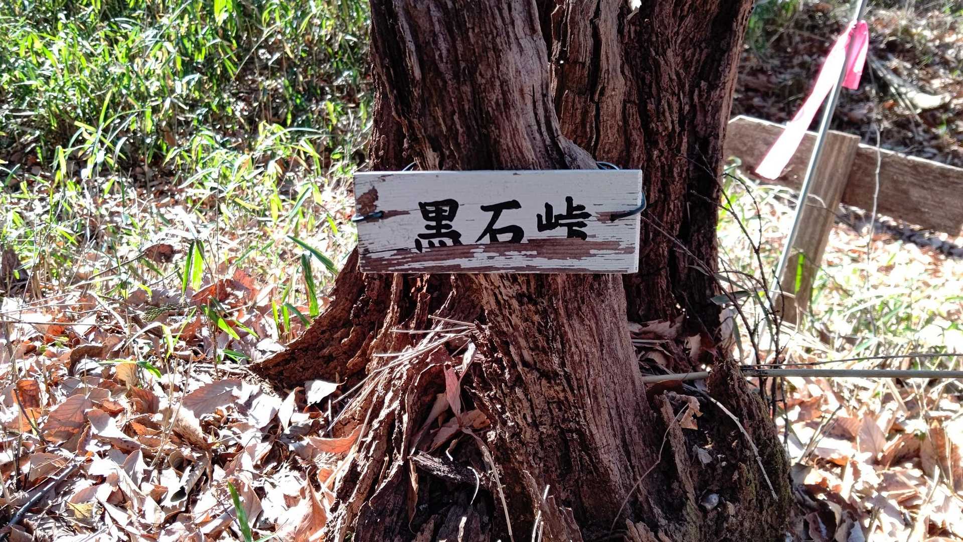 荒神山-茶臼山 往復コースの写真