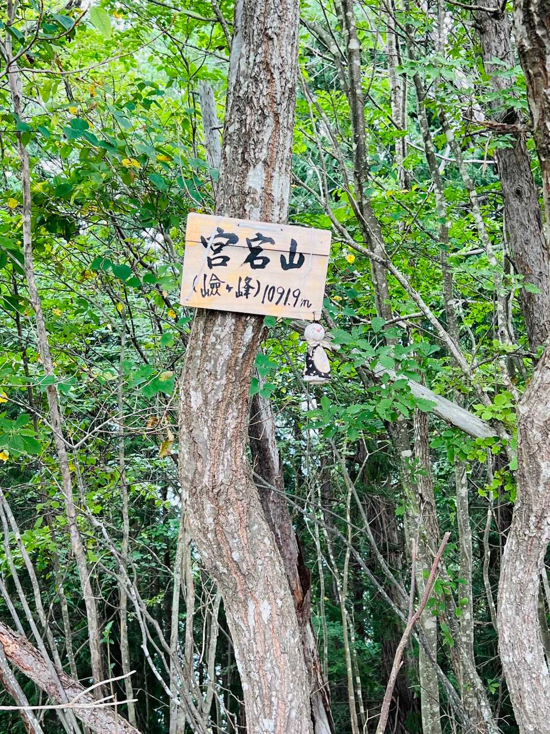ずっと愛宕山と信じてたら全然違うじゃん🤣　どう読むの？