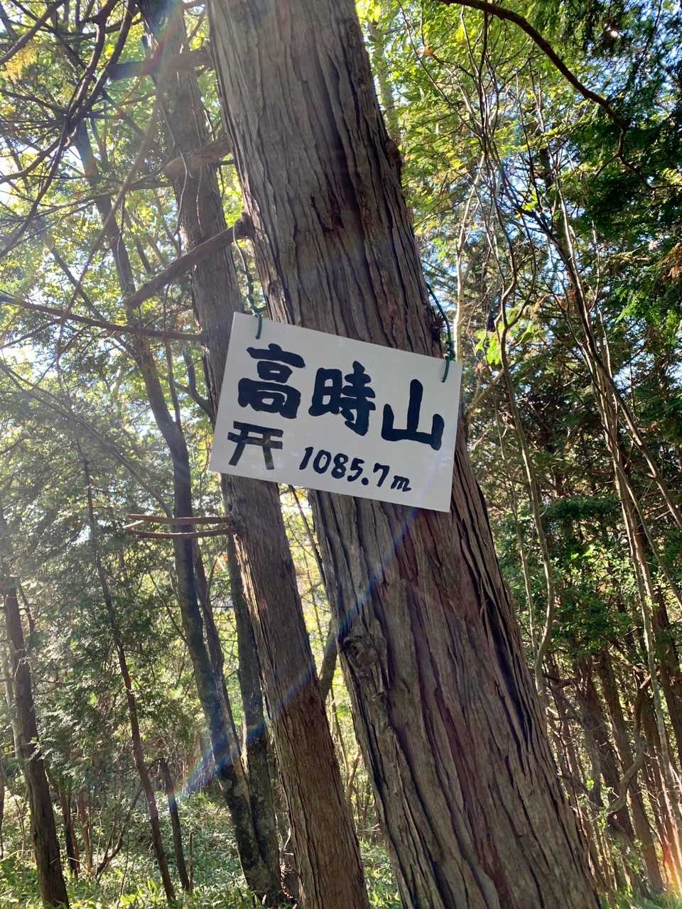 到着