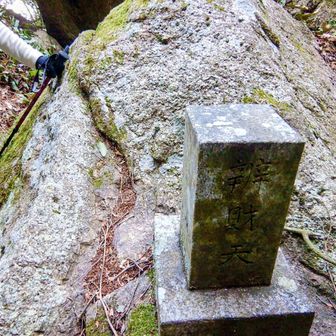 弁財天石碑
石碑だけで何もありませんでした