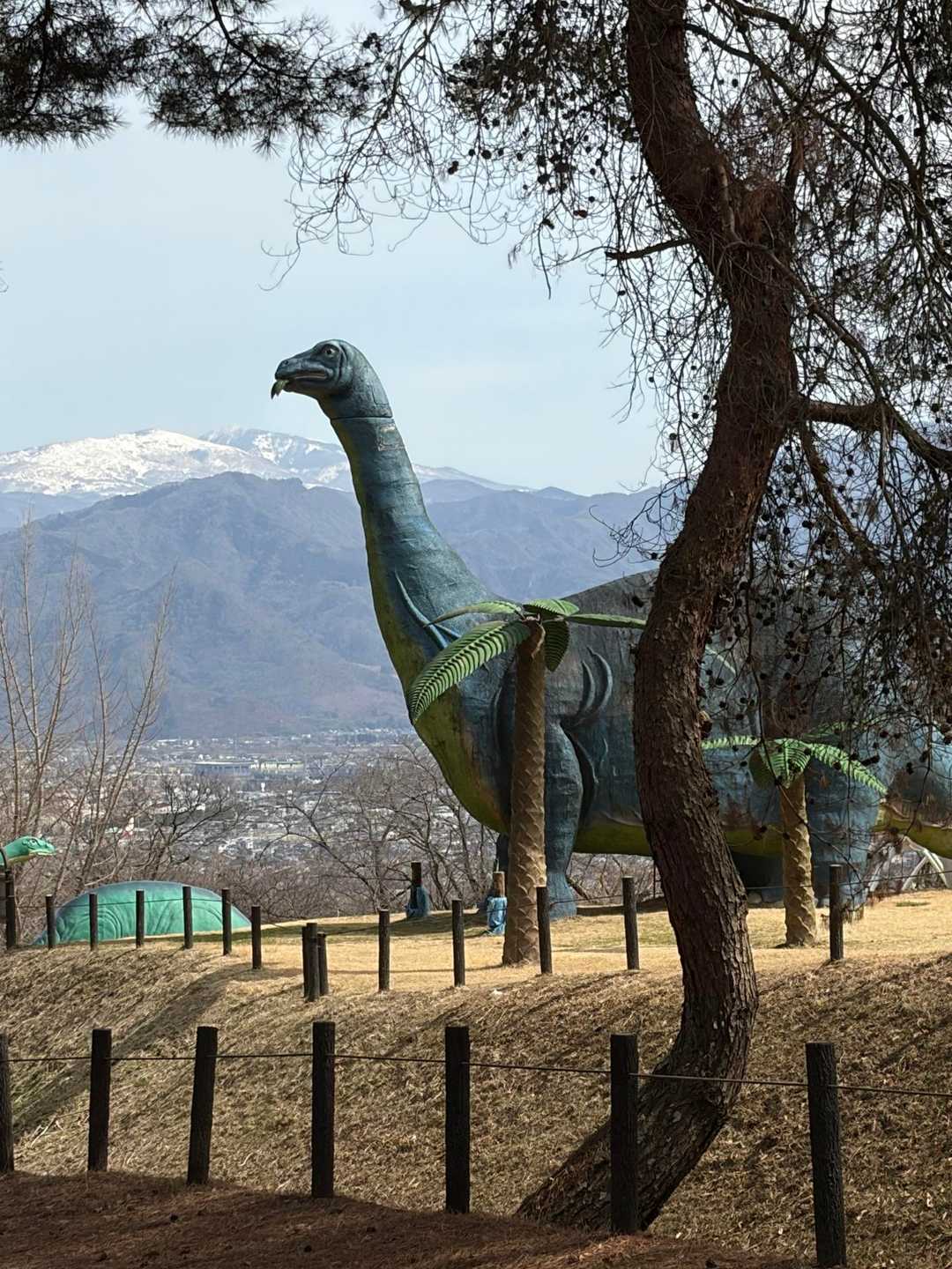 遠くに根子岳、四阿山が