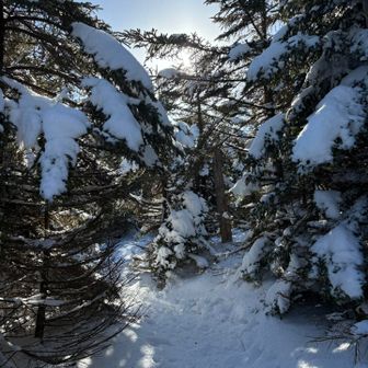 スノモンの墓場