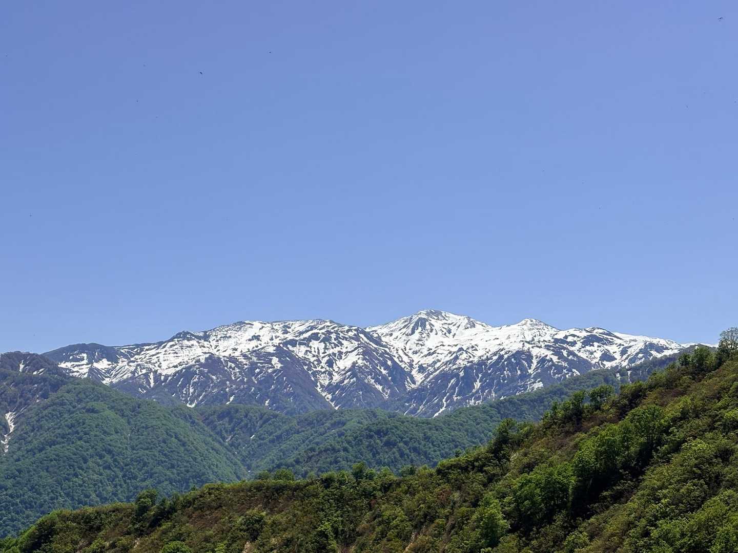 負釣山登山口-負釣山 往復コースの写真