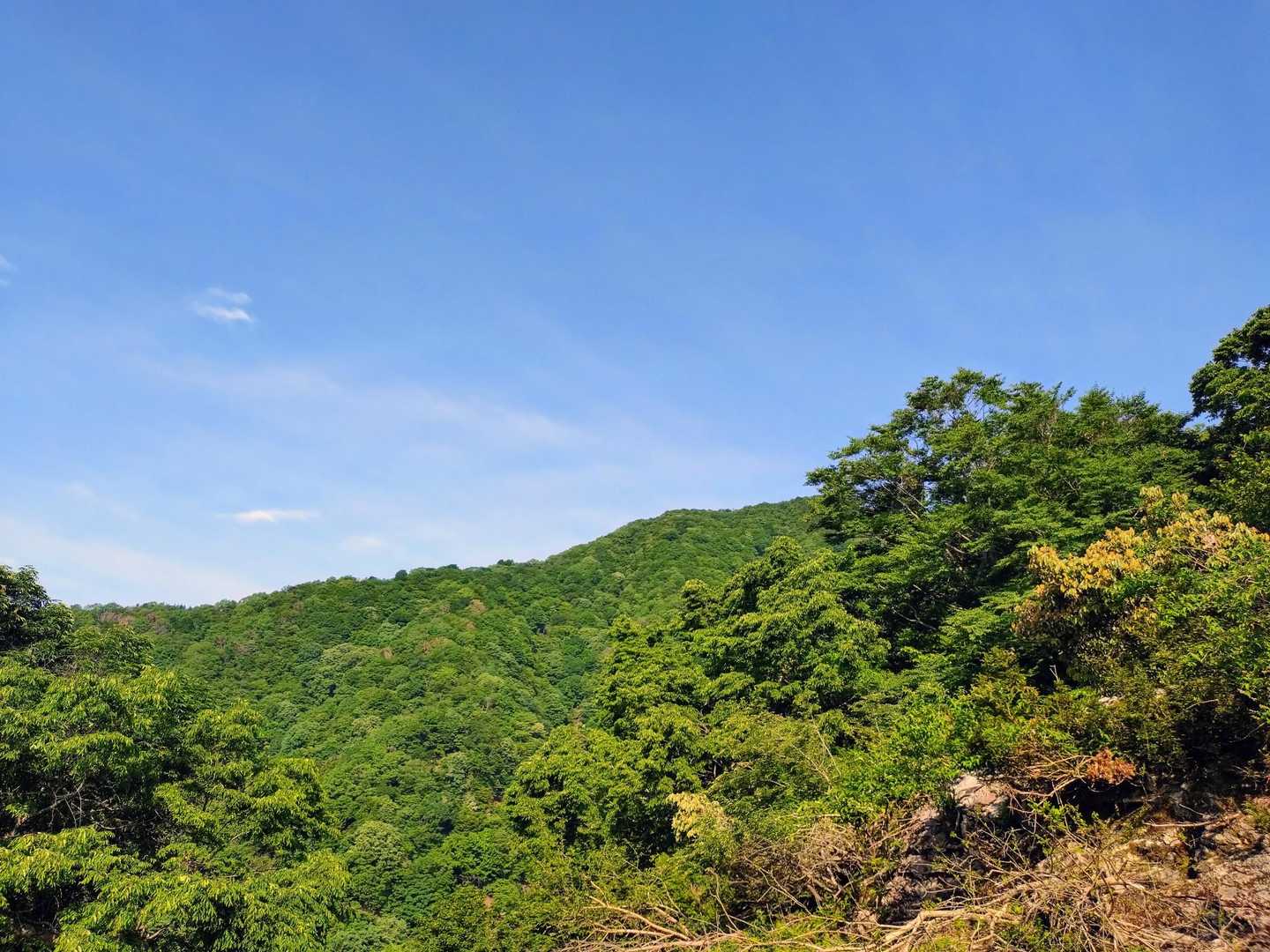開けた所から今から行く高屋山だそうです