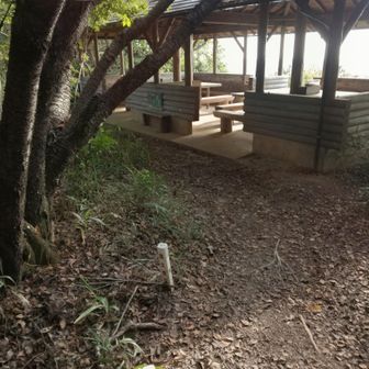 西高森山山頂