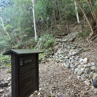 こっかちょっとだけ登る