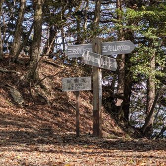 女坂峠
ここで中道往還を離れ三方分山方面に進む