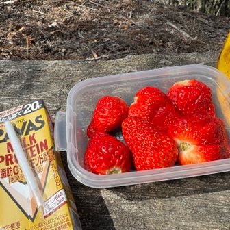 本日の行動食〜