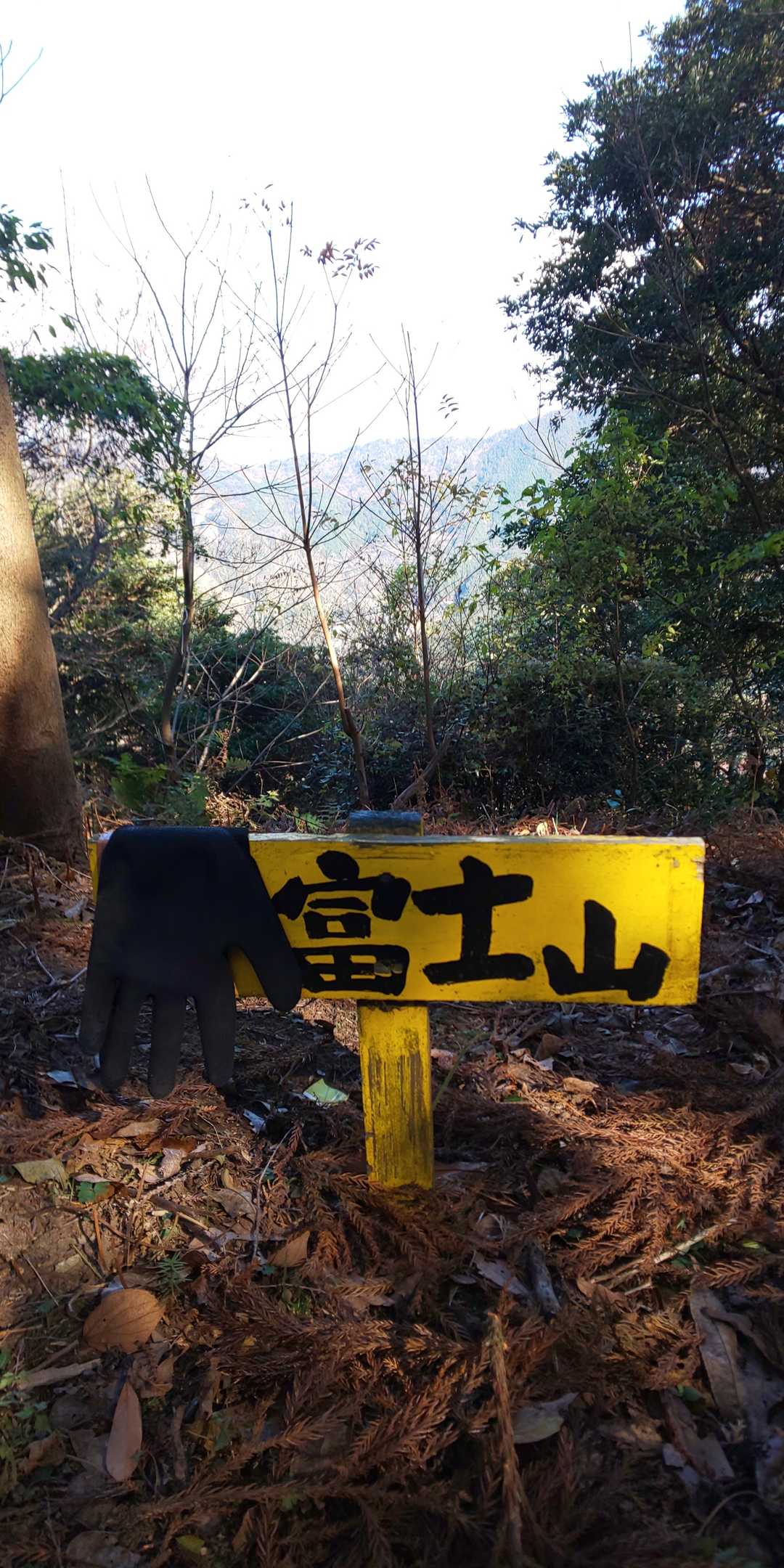 憧れの富士山🗻登頂💪
ん⁉️