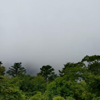 山頂何も見えず