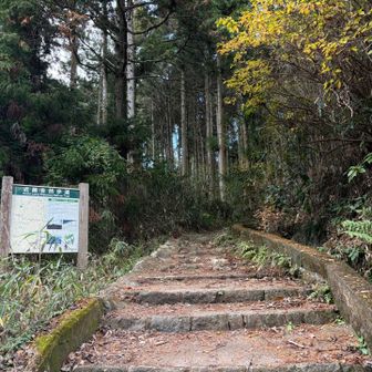 ダイトレ登山口😃