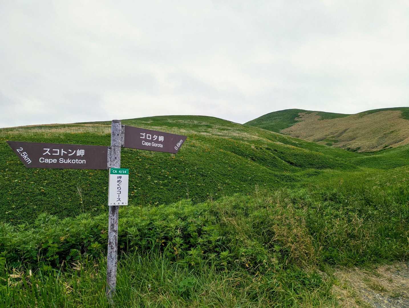 ゴロタ山-西上泊神社-澄海岬 縦走コースの写真