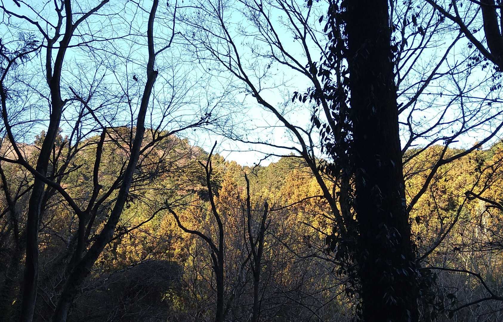 本丸は、あの山の上