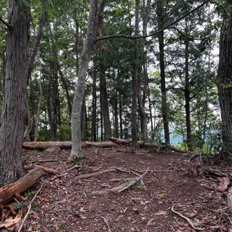 加茂山山頂
撮った時は気づかなかったけど、真ん中の木の枝になんか看板あるね。
月読尊→勢至菩薩の種字　𑖭(サ)