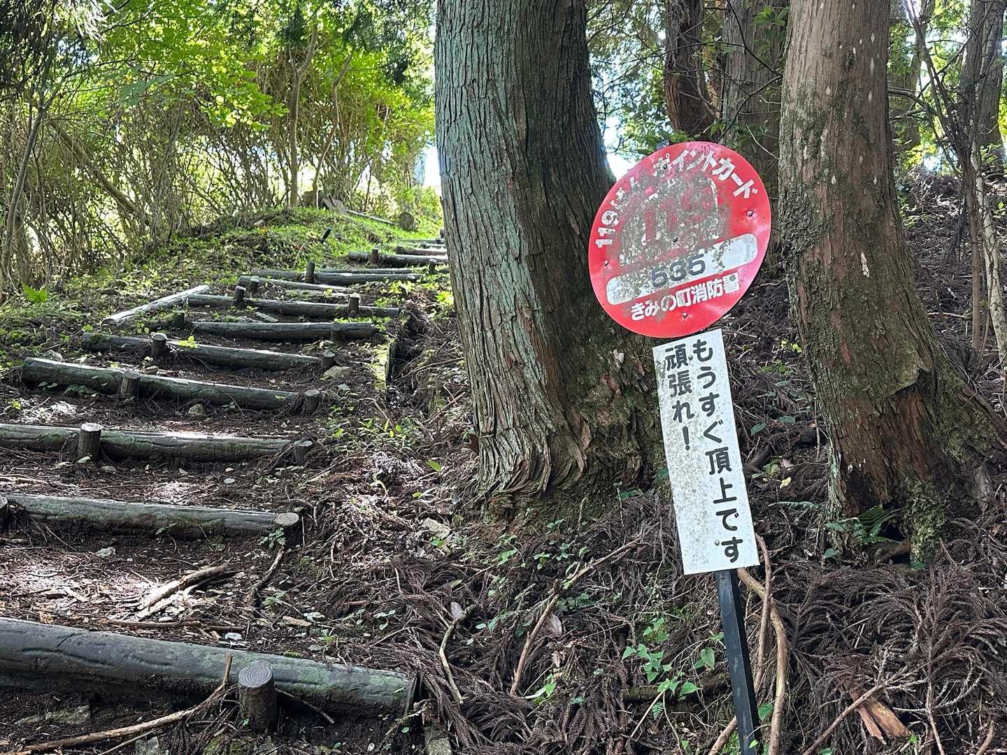 頑張れ、たーしー✊