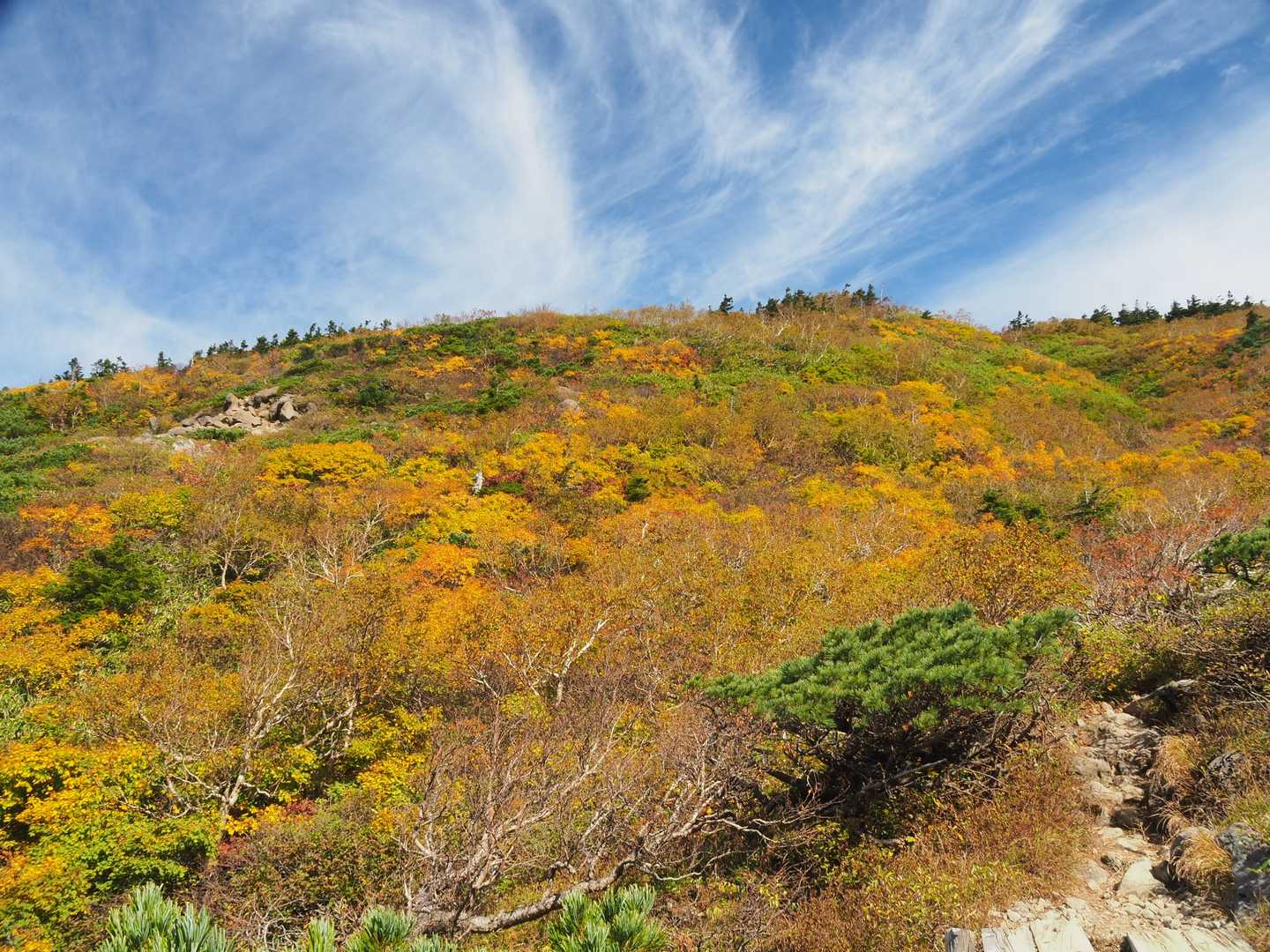 八甲田大岳登山口-小岳-高田大岳 往復コースの写真