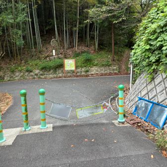 二回目の健脚コース以降スマホがロックされて使用出来ず😭
山頂からは舗装路で下山したところでスマホロック回復☺️