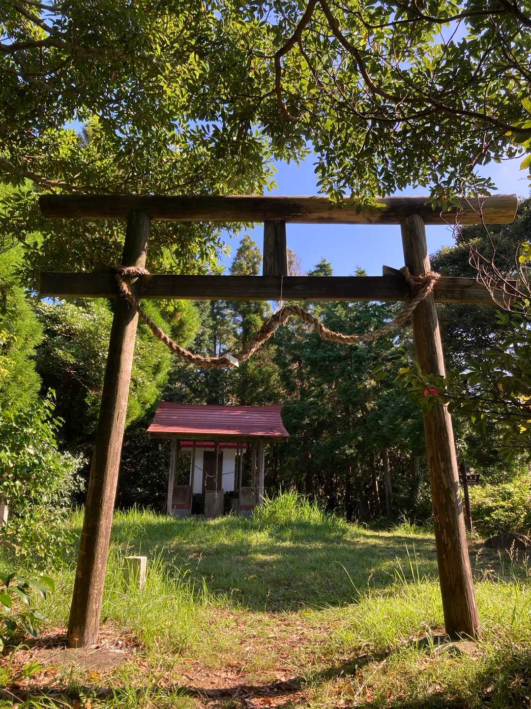 もうついた笑

冠岳（西岳）山頂には上宮さまが鎮座してました。
