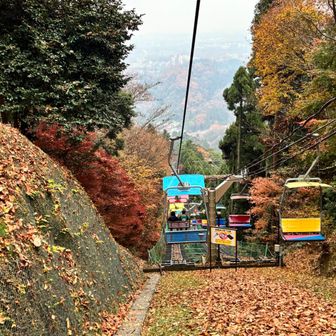 リフトで楽ちんな下山。リフトの周りの紅葉も綺麗でした。🍁