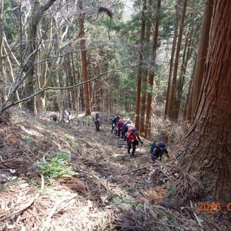 グループ登山は会話が楽しい