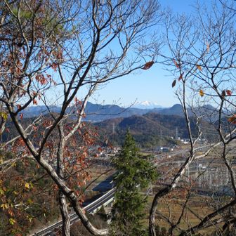 その時の写真がコチラ👆
木の枝が被ってるやん😅