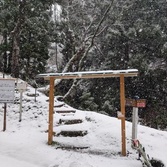 来年も埋まるのかな？