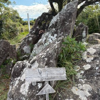 三角点は見つからず（のちにきた斜面にある事判明）