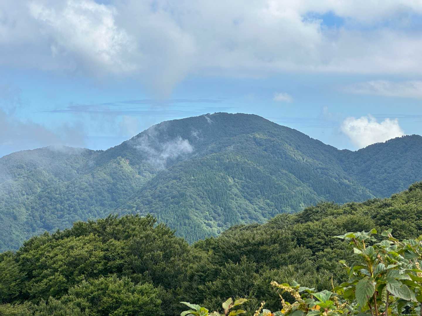 今日悩んだ大鷲山。
行かんでよかった。