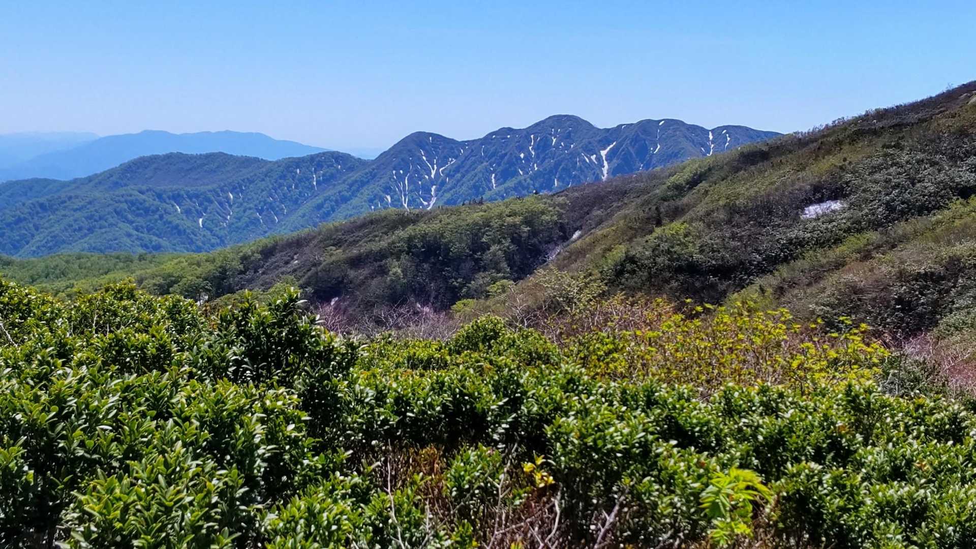 小原峠-赤兎山 往復コースの写真