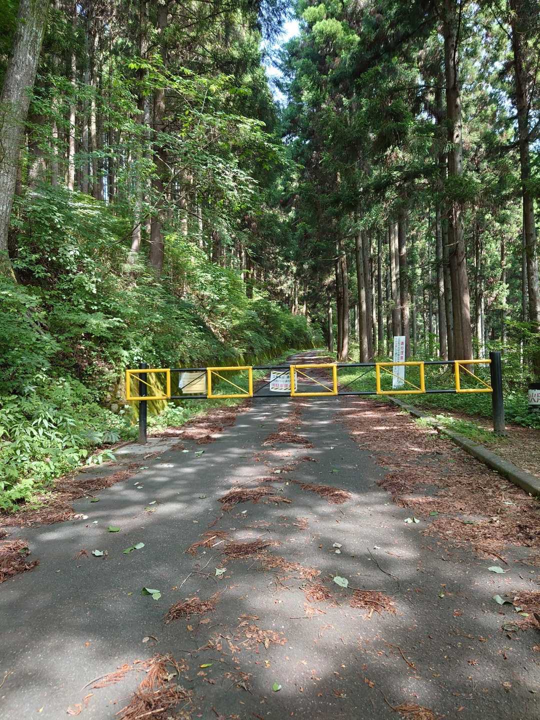 登山口を知らずに通り過ぎて、あのゲートも超えて間違えたまま行ってしまった。気づいて戻ってきたので変な軌跡になってる。このゲートは越えちゃダメ⚠