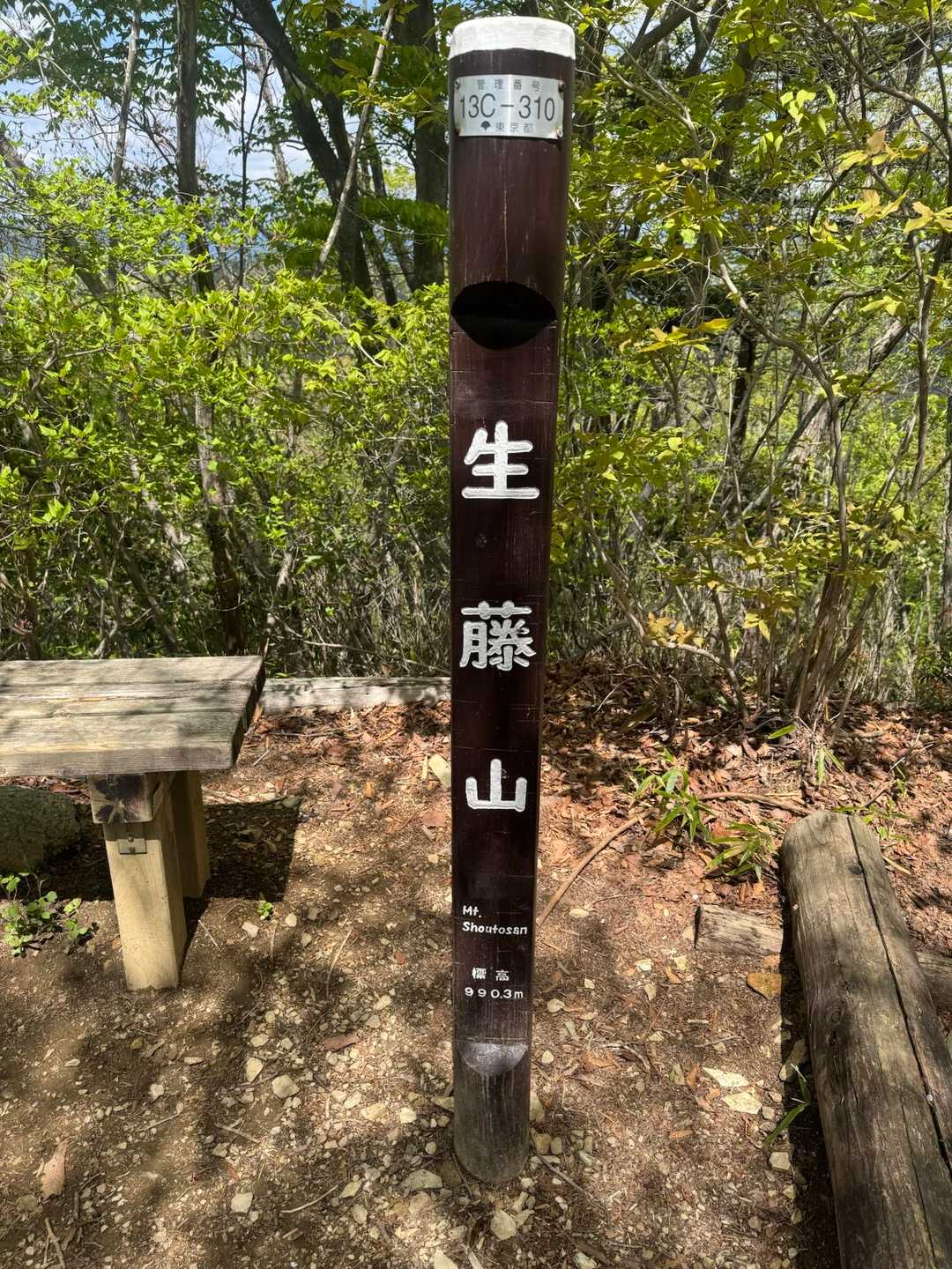 石楯尾神社前バス停-佐野川峠-生藤山-栗坂峠-浅間峠-上川 縦走コースの写真