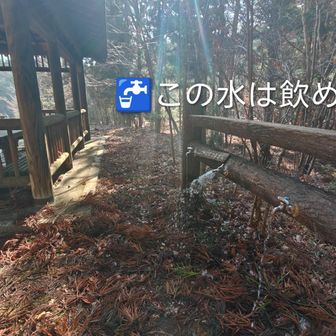 前回ここのお水を携帯浄水器で浄水し、縦走後半のドリンクにしました🥤
湧き水なので年中出てるとは思ってましたが、やはり大丈夫みたい。
本番はこのお水にスポドパウダーを混ぜて補給する予定🥤