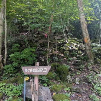 登山口まで戻ってきた
誰とも会わず　貸切でした