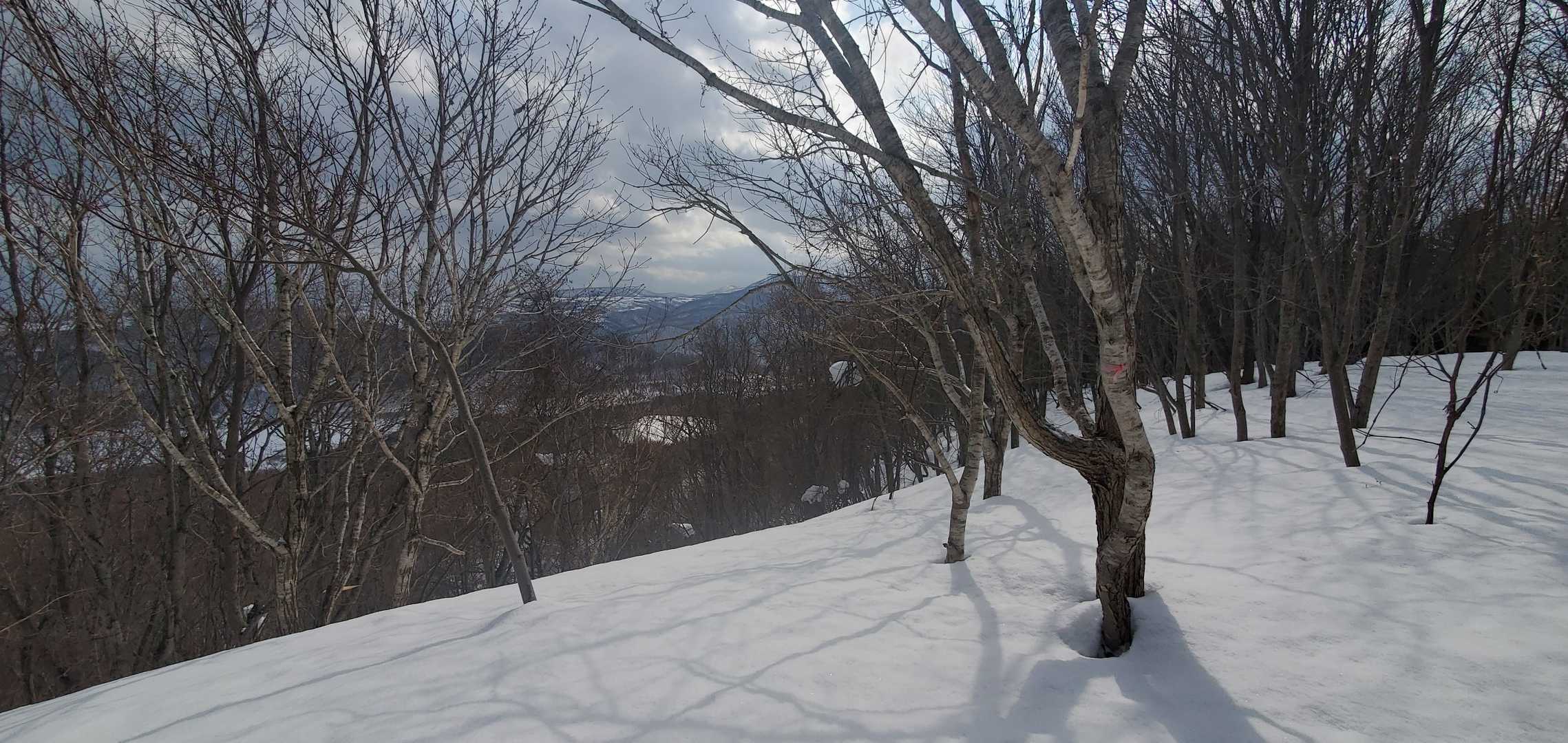 ピーク手前にピンテと眺めあり