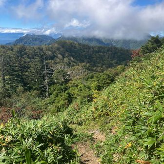 下山開始。
ガスが上がってきた。稜線歩きには支障なさそう。