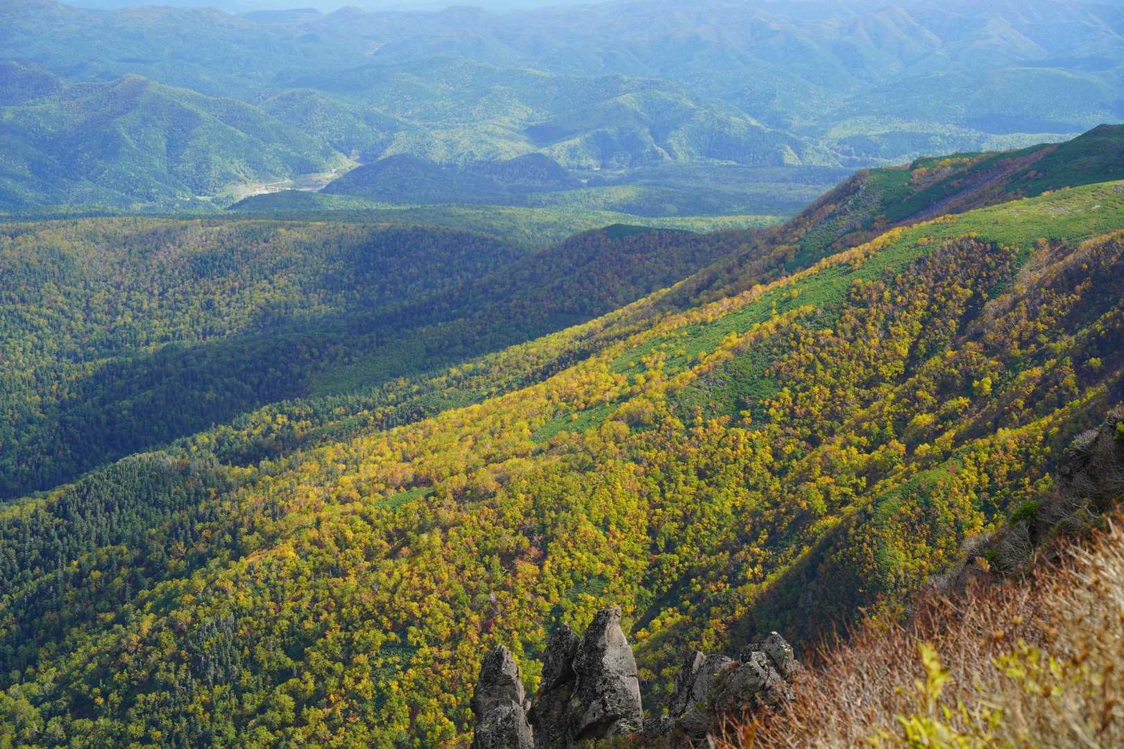 黒岳をあとに、リフトまで紅葉を楽しみながら下山🍂