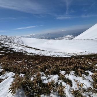お鉢を廻りまーす😁結構、薮が出てきており何回も踏み抜き😭