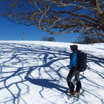 木の影がはしゃいでるように見えへん？って言ったけど、ふーん、やって👀