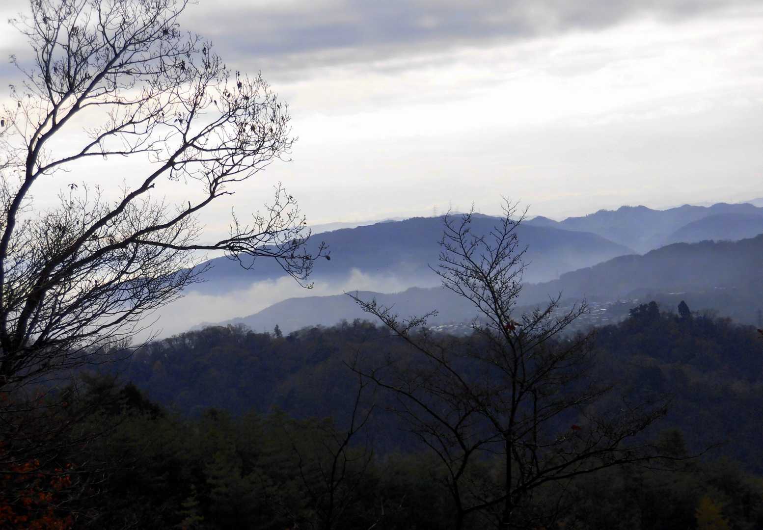 京都の山やなぁ。