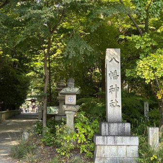 前回はロープウェイの下を通る、公園側から登ったので、こちらからは初めてです。

それにしても大河の影響でしょうか、ロープウェイ乗り場はお客さんで溢れかえっておられました💦
ロープウェイの列は外まで行列にw