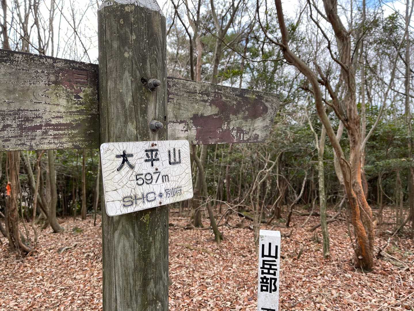 大平山に到着～❗️
92年発刊の旧版九州百名山で
リストアップされてました👏🏻
展望は皆無😂