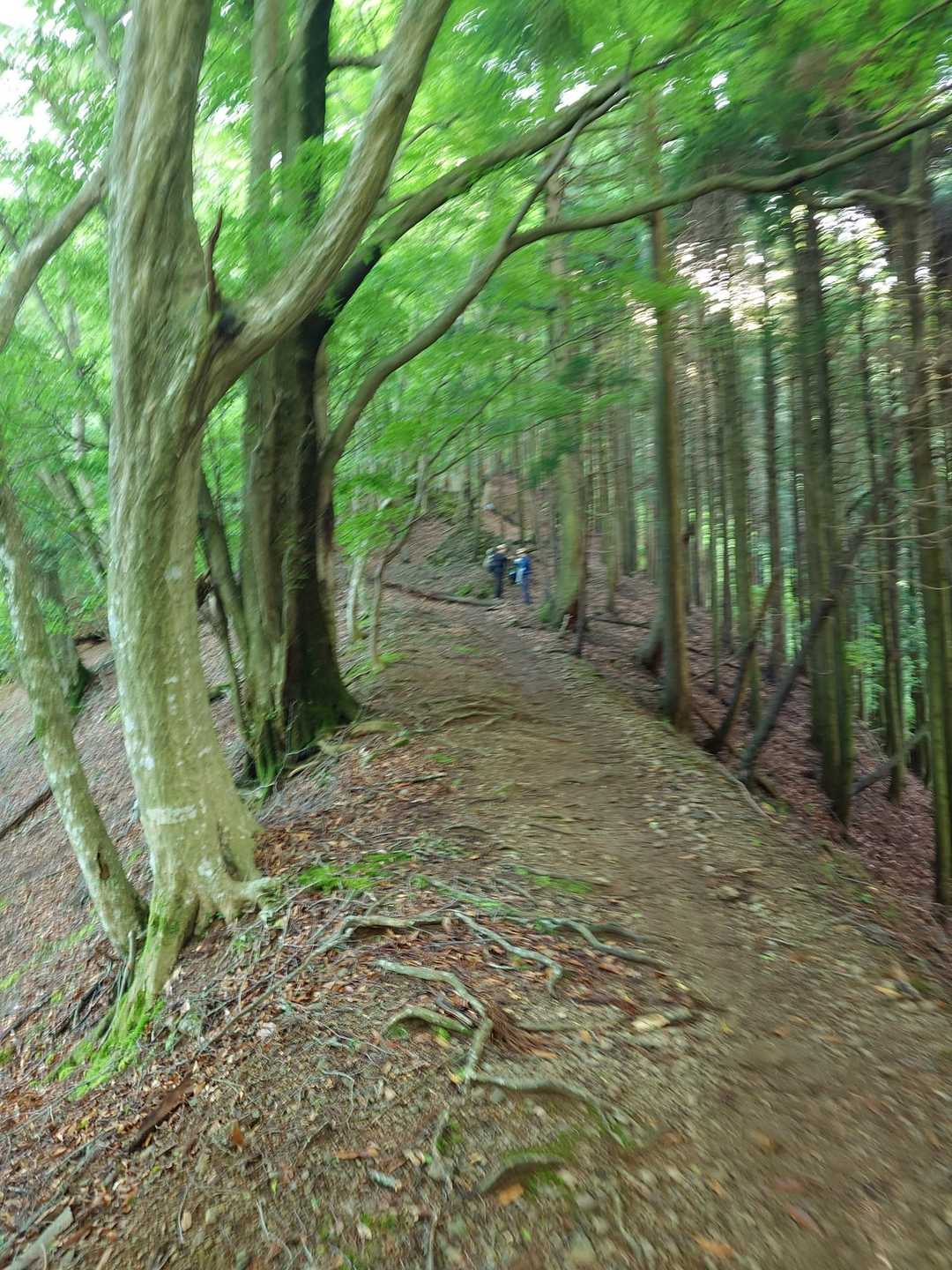 気持ちイイ💚