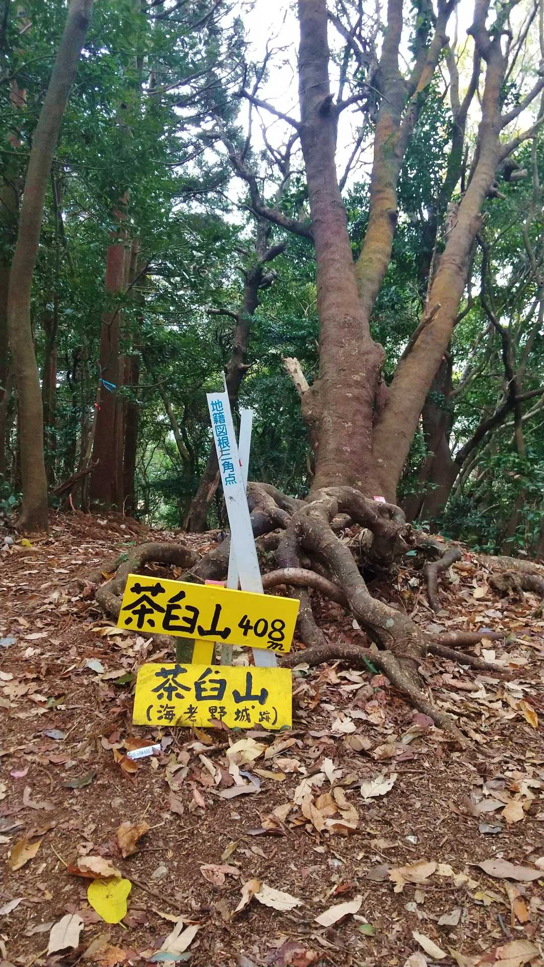 🙌程なく着