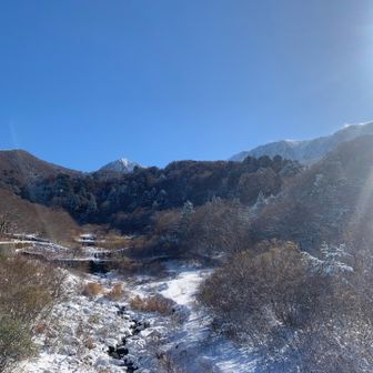 今日はホントに天気がいいです！
空が真っ青！🩵💙
