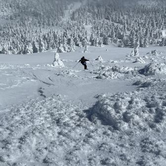 なんと！昨年、ご一緒になり、ラッセルしてくださったくまkinさんと再会！偶然の再会3回目‼️今日も、BCスキー⛷️かっこいい😎