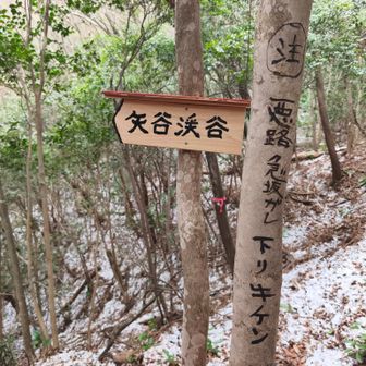 悪路　急坂ガレ　危険⚠️