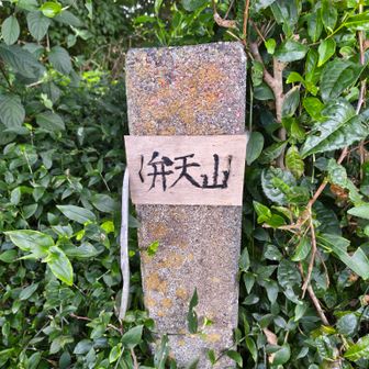 ついでに弁天山にも寄ってみた。
この先の藪道が大変なので、ピーク踏みたい人以外はここはわざわざ行かなくても良いかも。