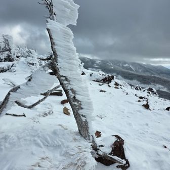 茶臼山展望台は爆風💦
写真撮ったら即撤収⚠️